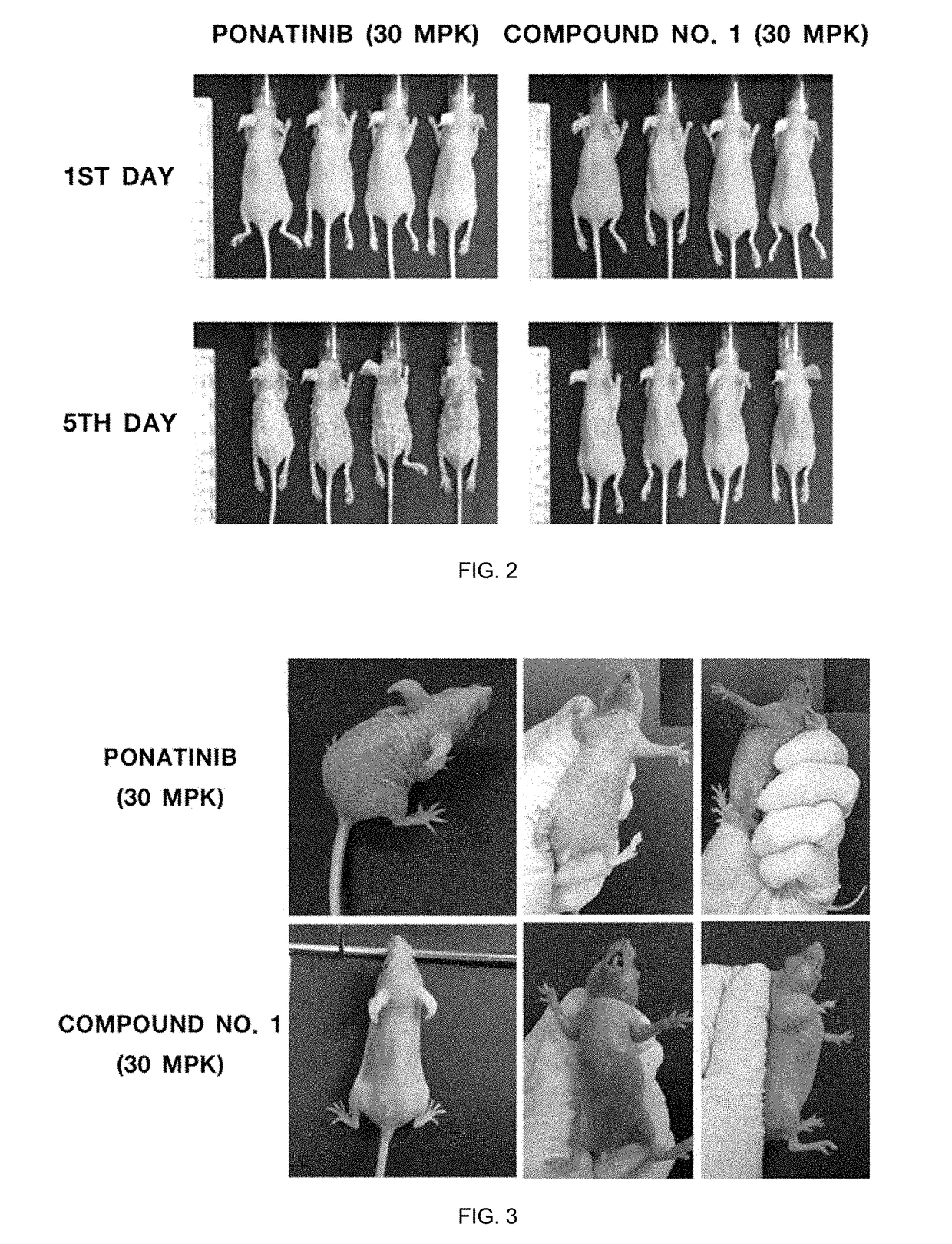 Cml therapeutic agents with reduced drug-resistance and side-effect comprising 1,6-disubstituted indole compounds