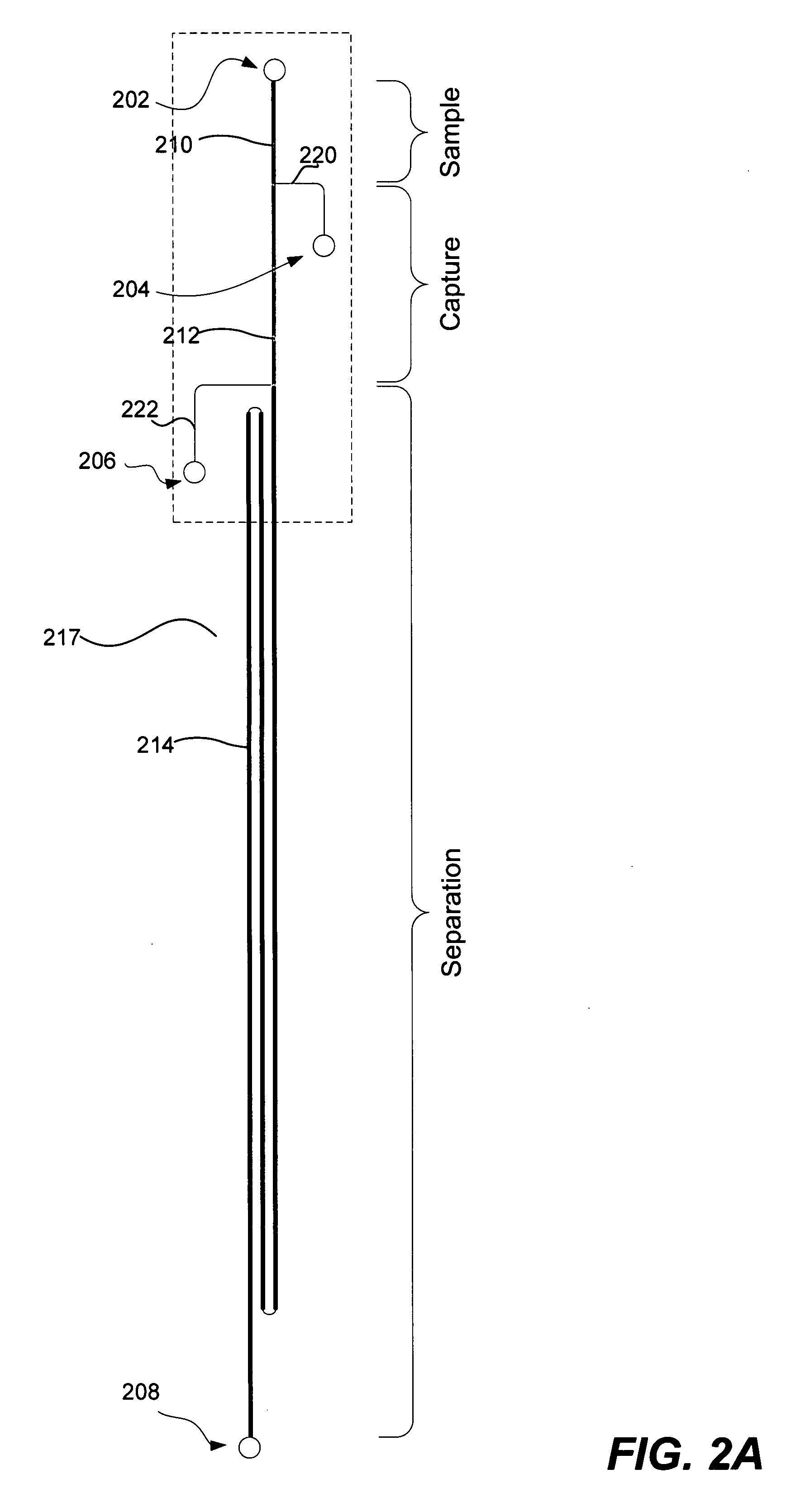 Inline-injection microdevice and microfabricated integrated DNA analysis system using same