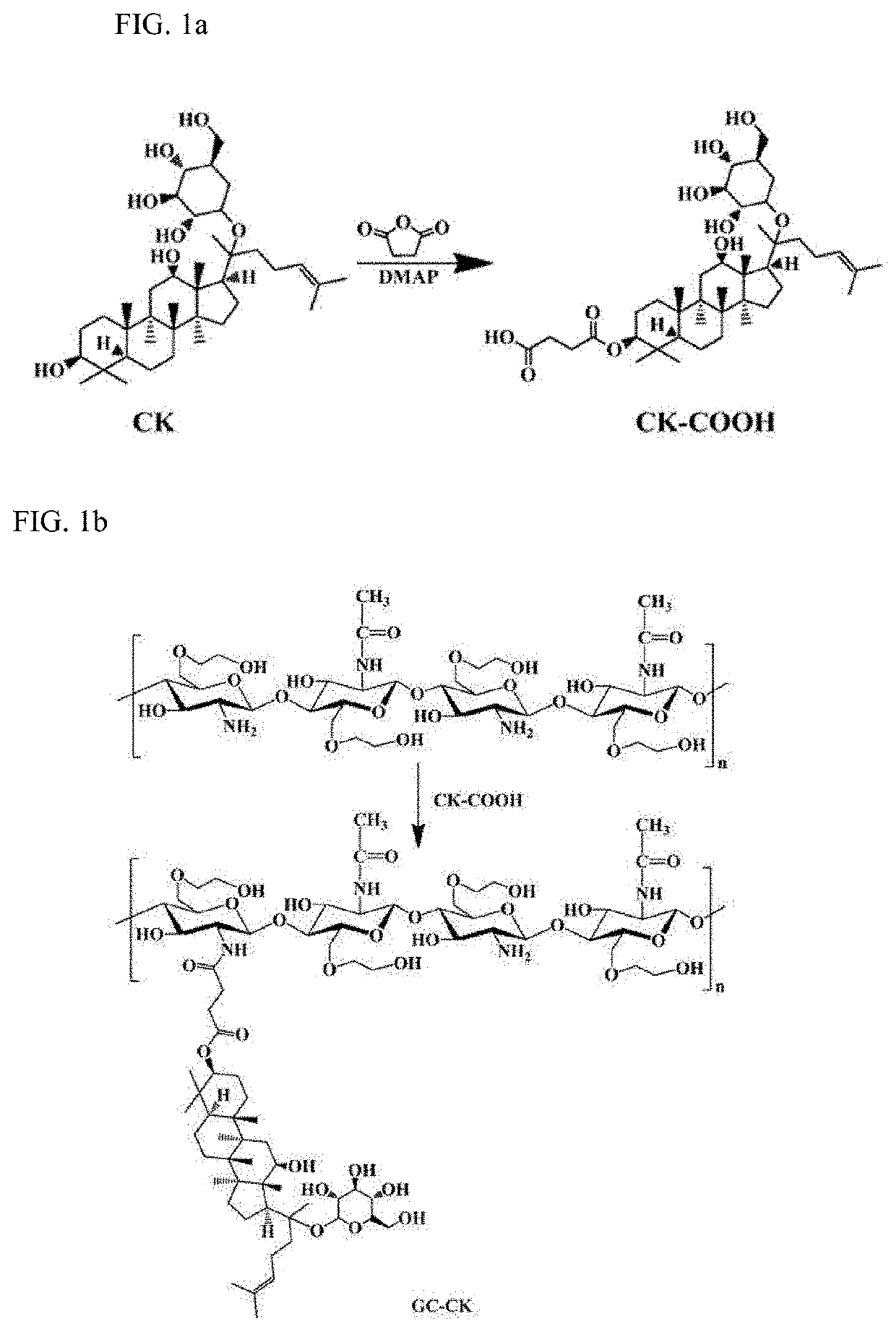 Conjugate of ginsenoside compound k and glycol chitosan and an Anti-tumor use thereof