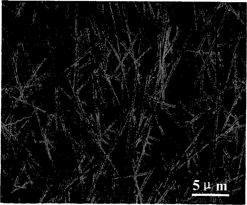 Process for preparing manganic manganous oxide nanometer wire by vapor deposition