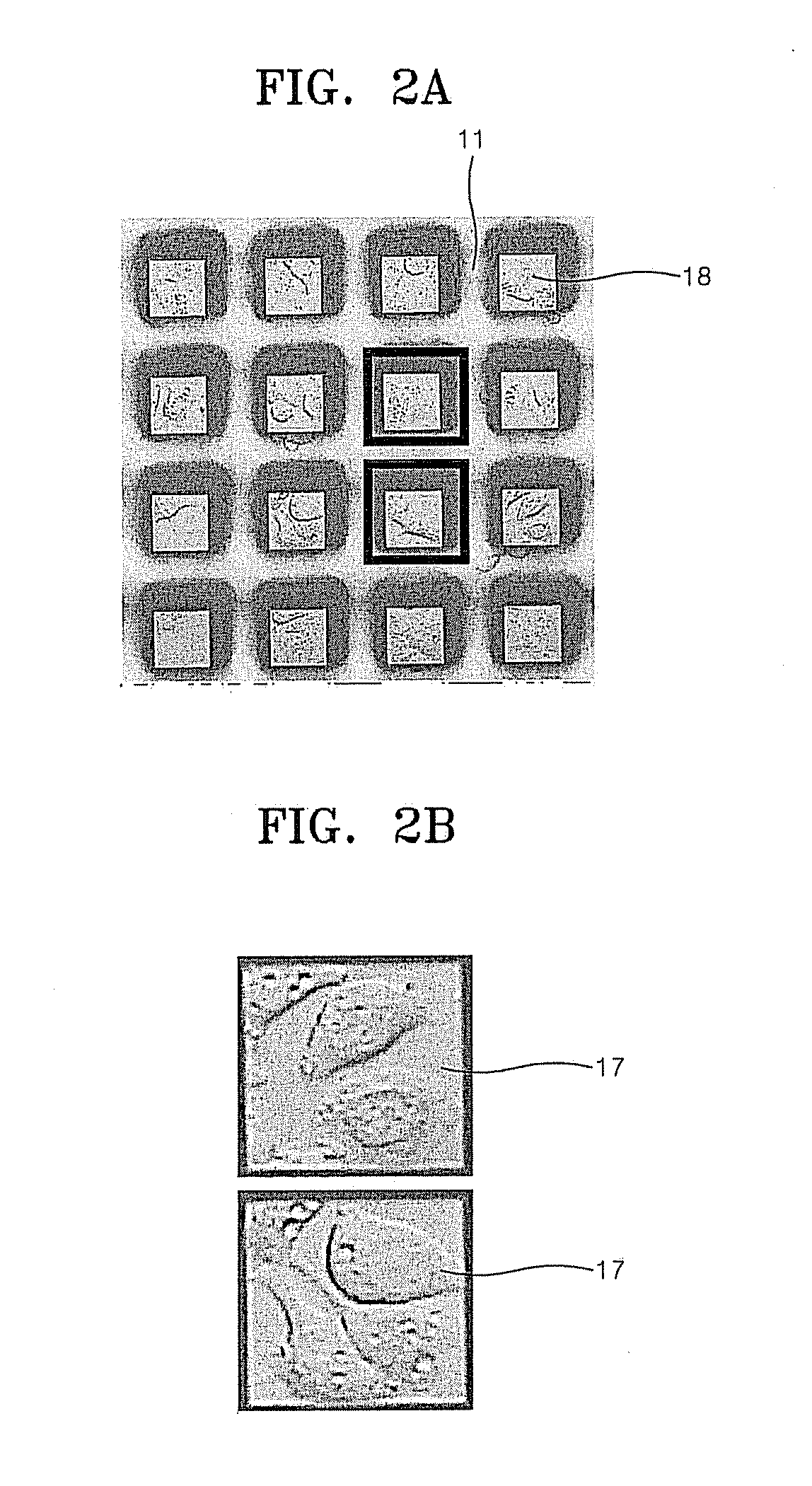 Cell culture chip and method for real-time monitoring of a cell culture using the same