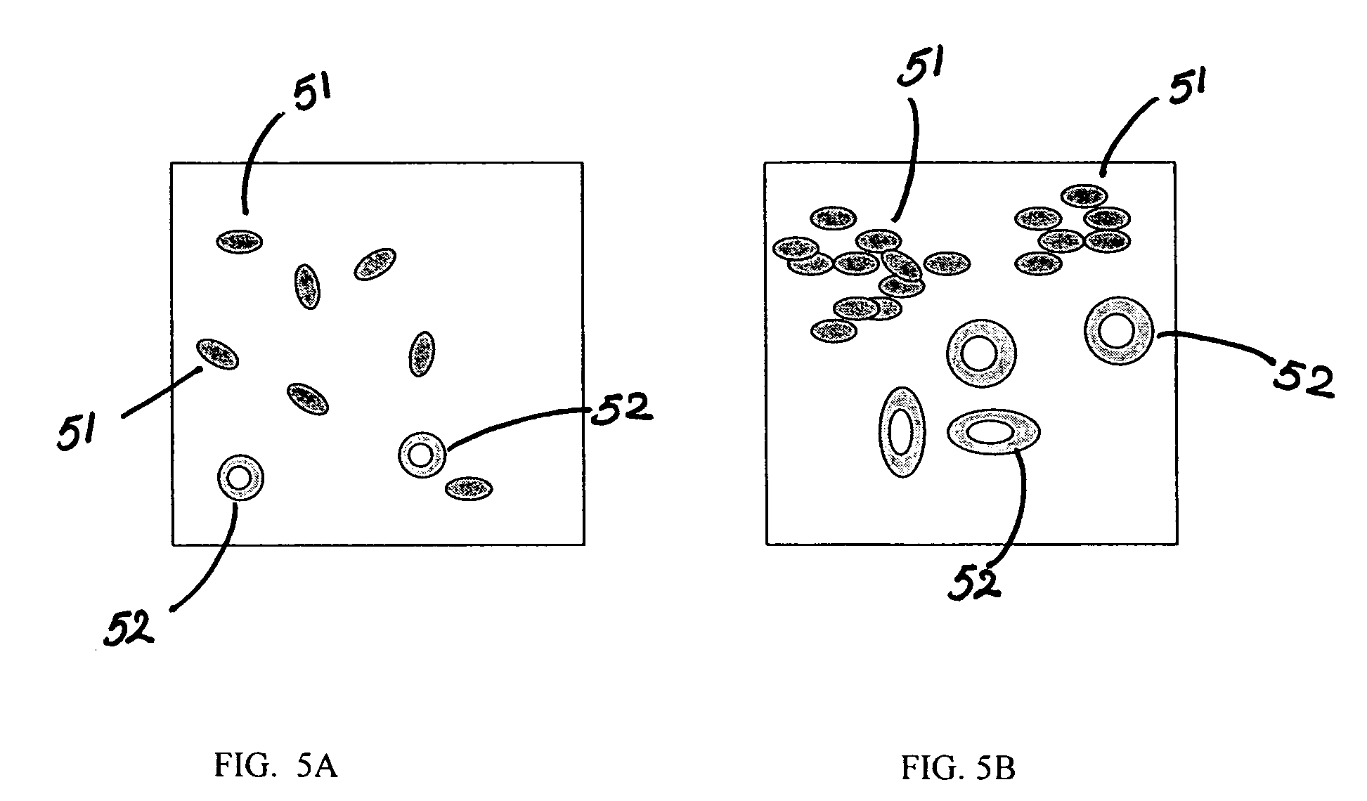 Systems and methods of identifying biomarkers for subsequent screening and monitoring of diseases