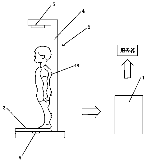 Infant body height and weight testing method and testing system