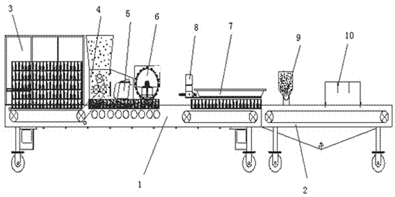 Tobacco seedling sowing method and equipment