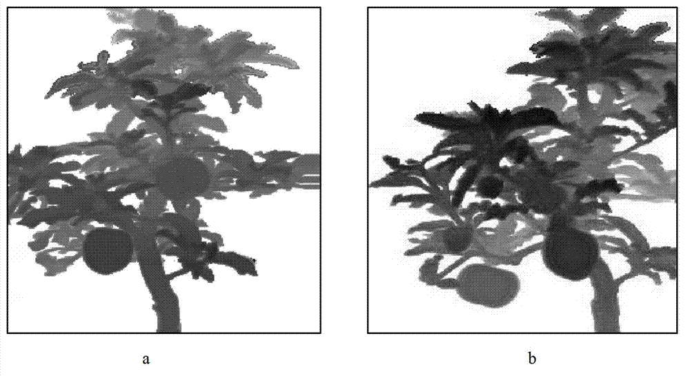 Tree apple recognition method based on depth image