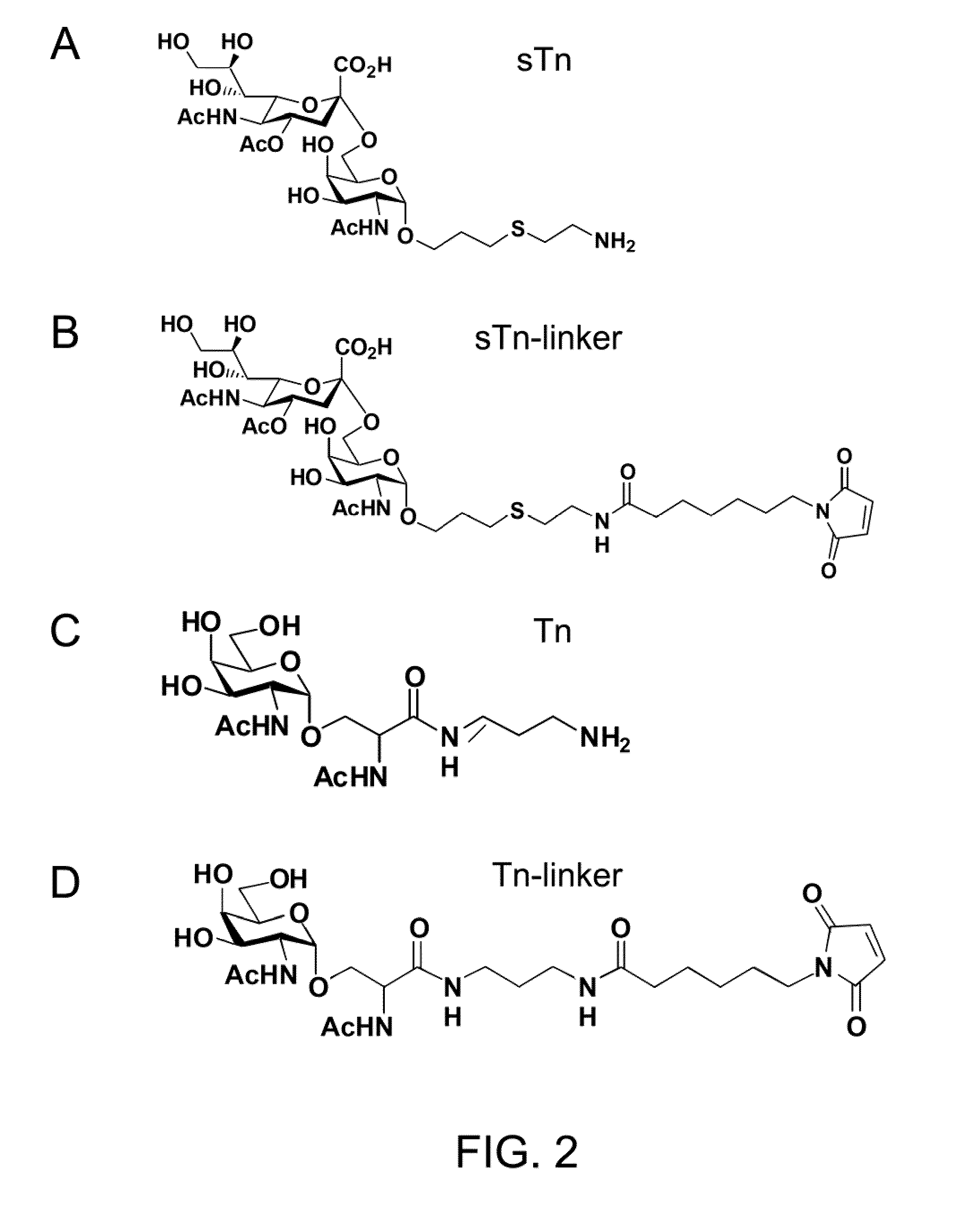 Immunogenic Protein Carrier Containing An Antigen Presenting Cell Binding Domain and A Cysteine-Rich Domain
