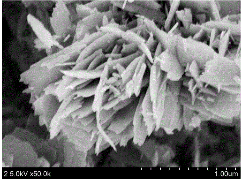 Synthetic method for three-dimensional structure assembled by La surface-modified ZnO nanosheets