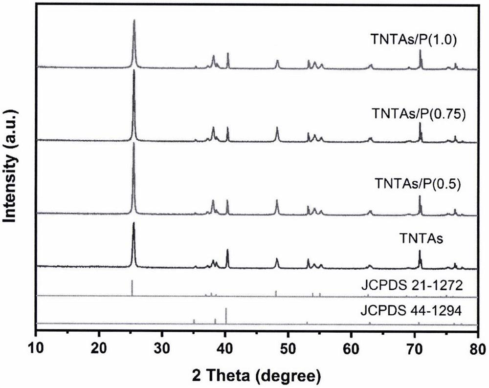Application of phosphorus-doped titanium dioxide nanotube array catalyst in photoelectrocatalytic degradation of tylosin