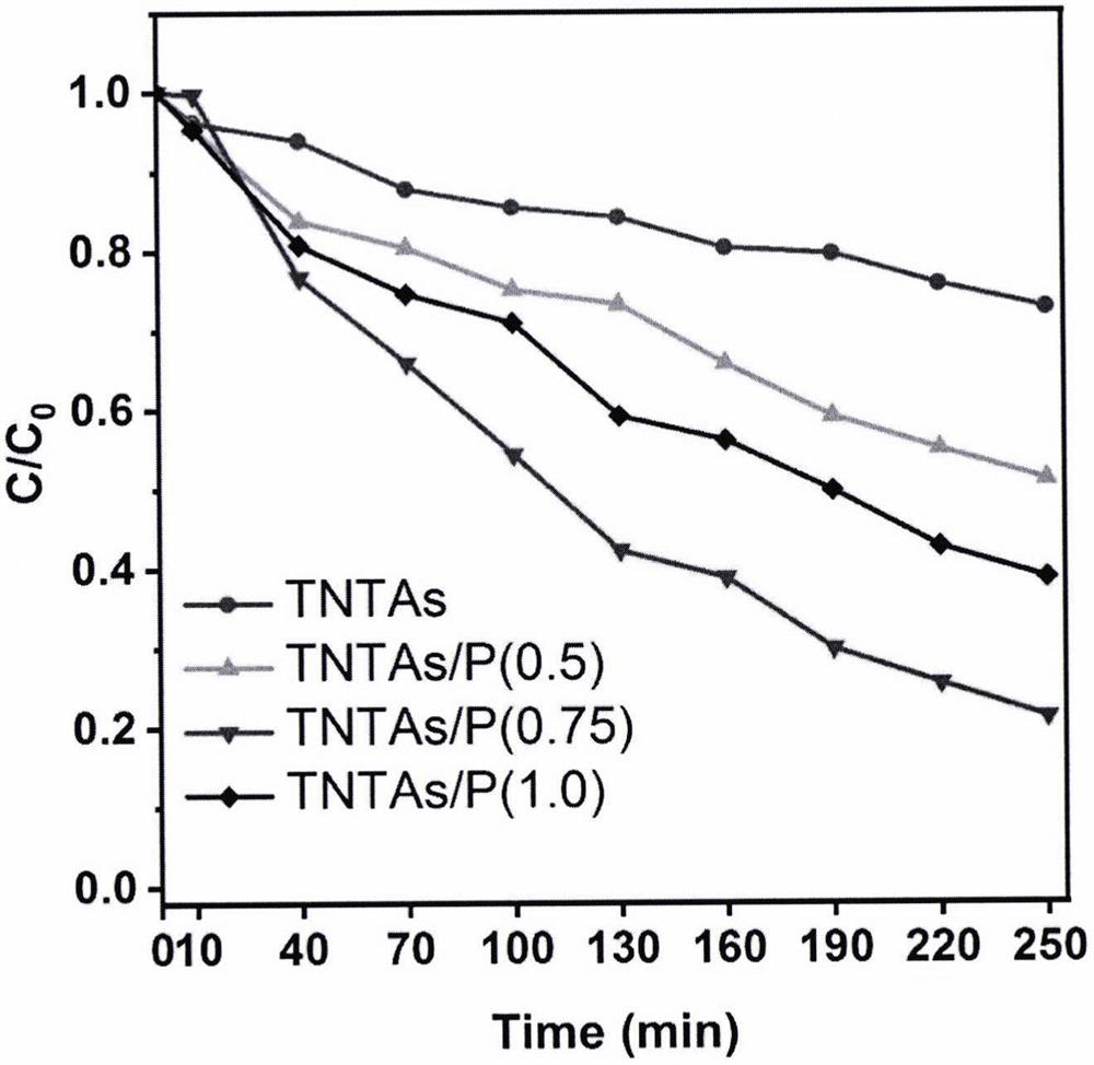 Application of phosphorus-doped titanium dioxide nanotube array catalyst in photoelectrocatalytic degradation of tylosin