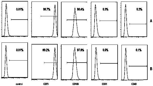 Blood serum/blood plasma substitute material for culturing and amplifying dental pulp stem cells