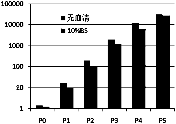 Blood serum/blood plasma substitute material for culturing and amplifying dental pulp stem cells