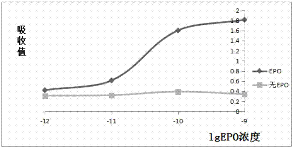 Hemopoietin peptide, hemopoietin peptide derivative, hemopoietin peptide polymer, preparation method of hemopoietin peptide and application of hemopoietin peptide