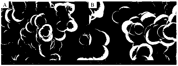 Boron affinity monolithic column based on atom transfer radical polymerization and preparation method thereof