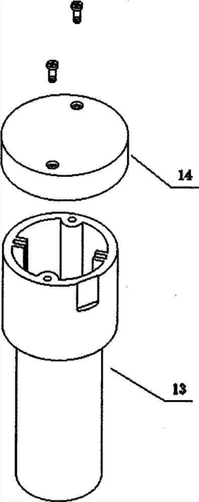 Side-mounted water temperature and level sensor of solar water heater