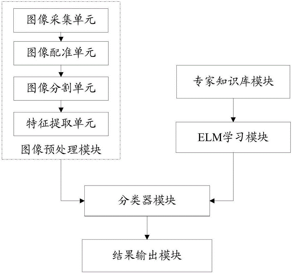 CSM assistant analysis system and method based on tensor image