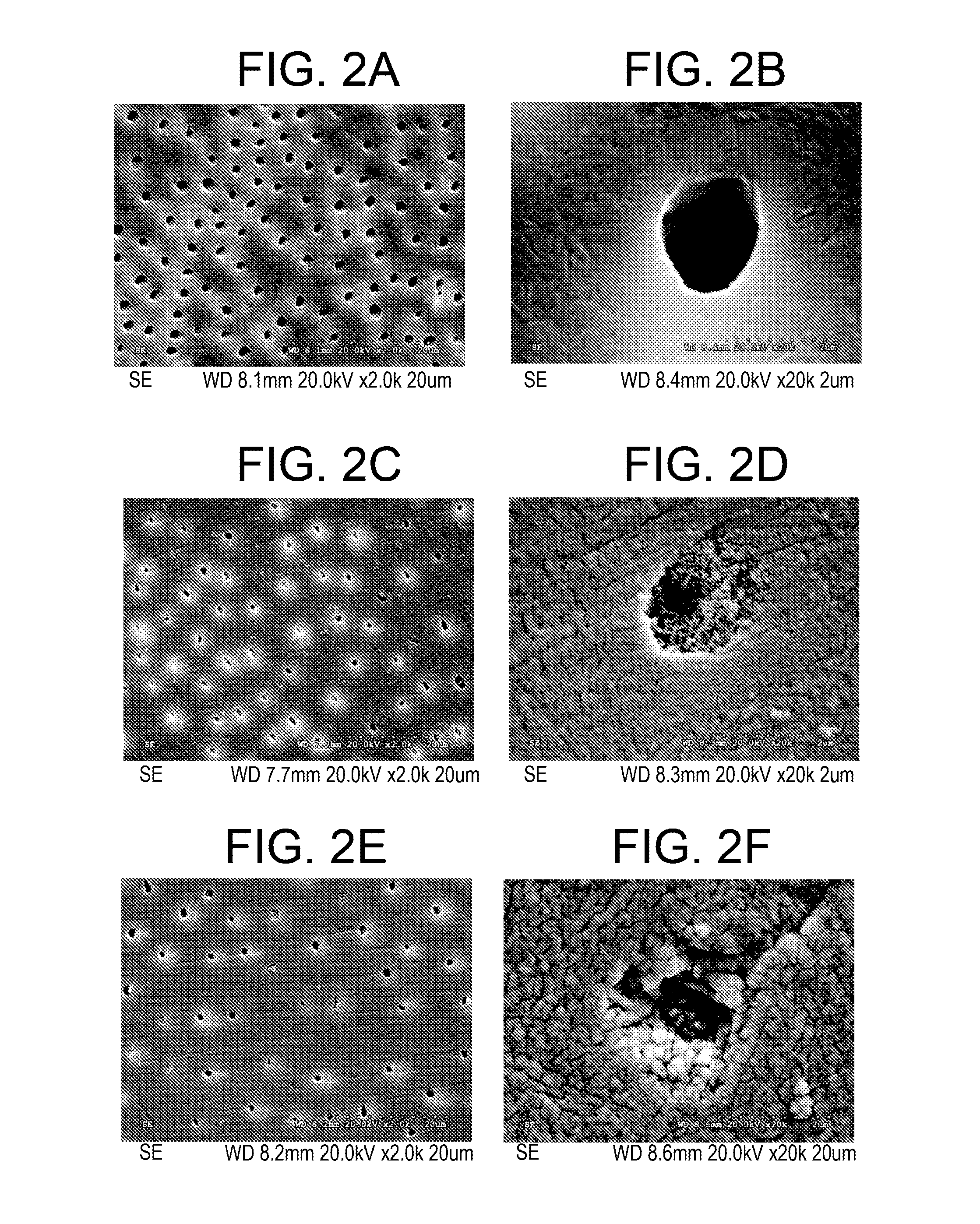 Anti-bacterial and mineralizing calcium phosphate compositions