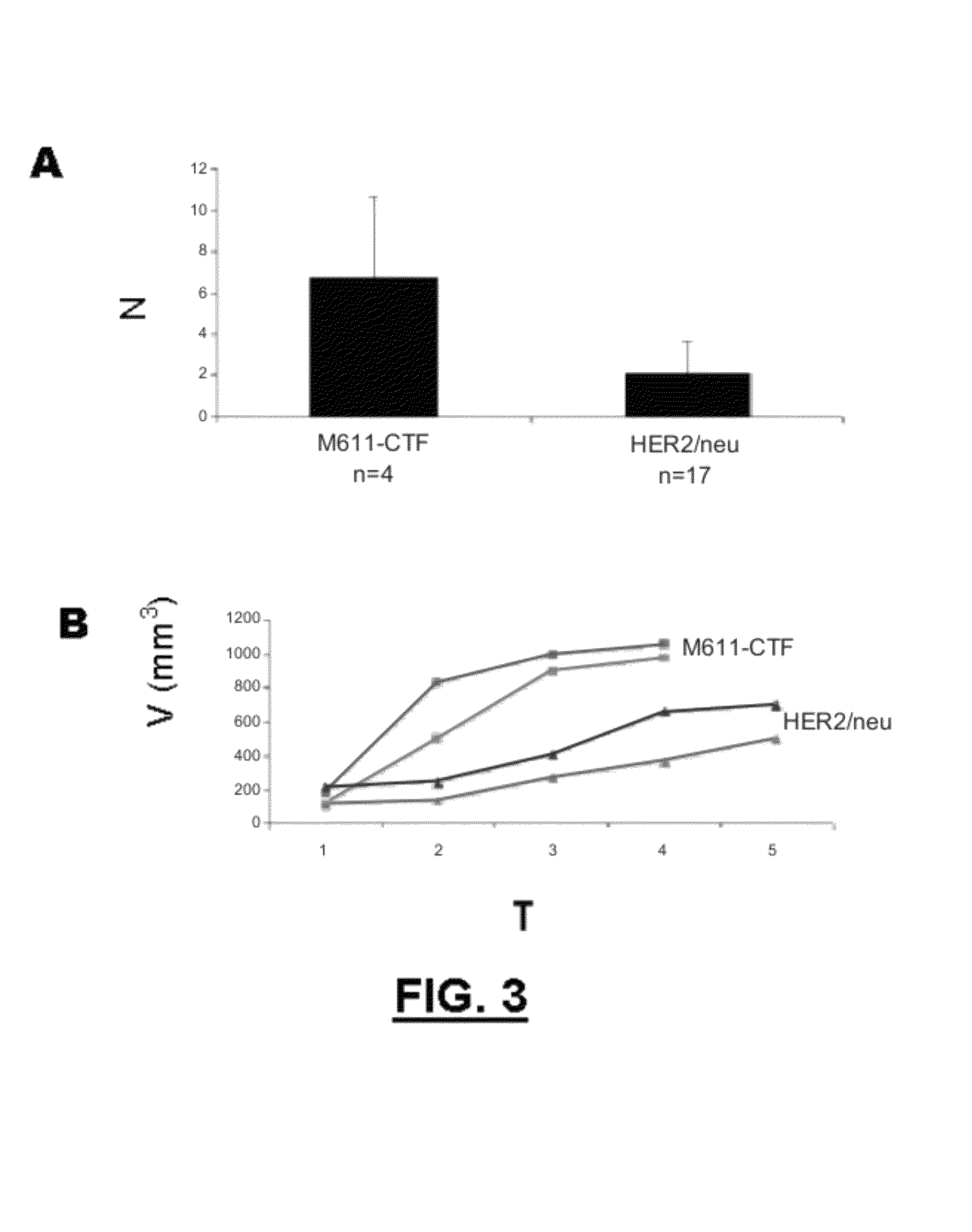Method for diagnosing cancers expressing the HER2 receptor or its truncated variants