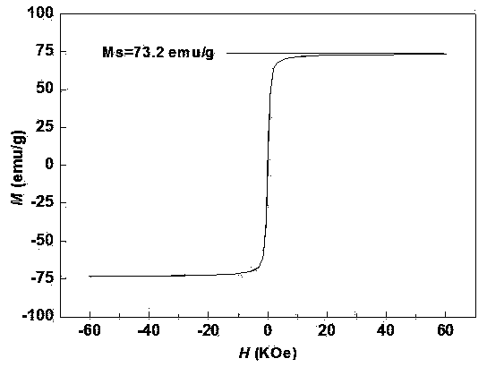 Preparation method of magnetic beads by extracting nucleic acid and application of method