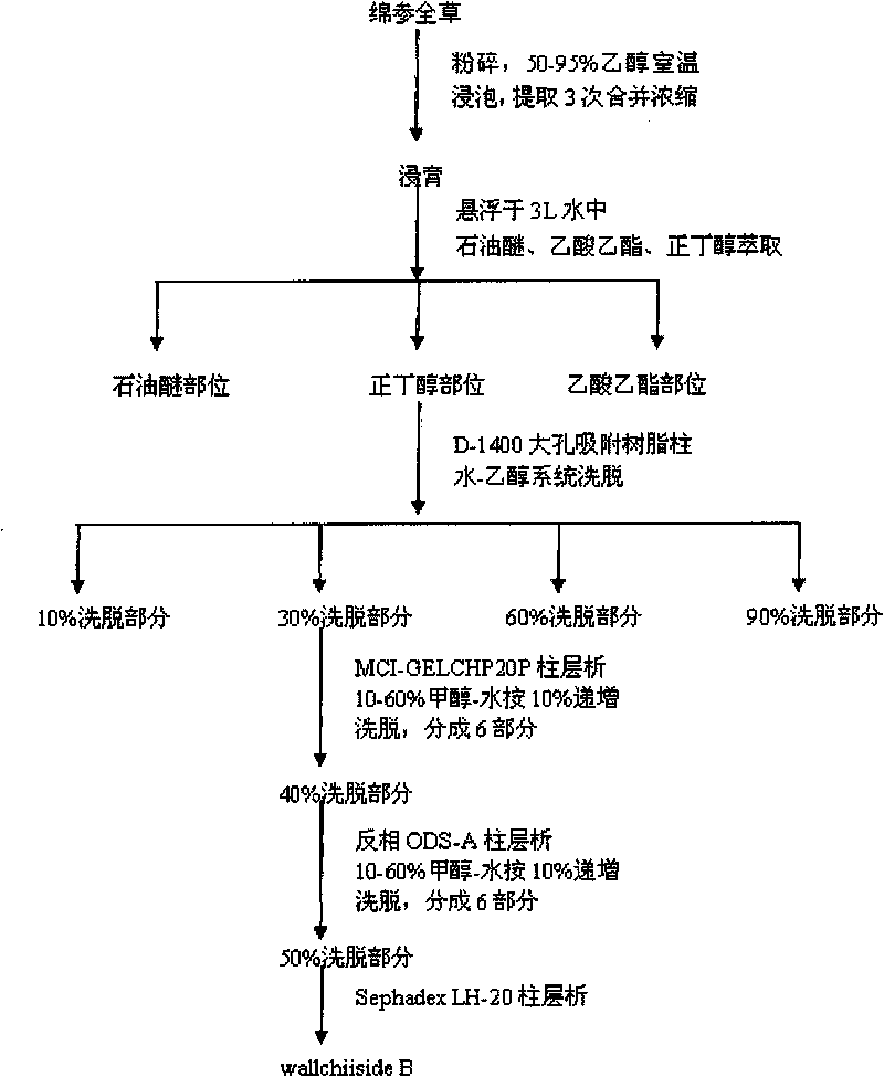 Compound extracted from Tibetan medicine eriophyton wallichii with antioxidant activity and extracting method thereof