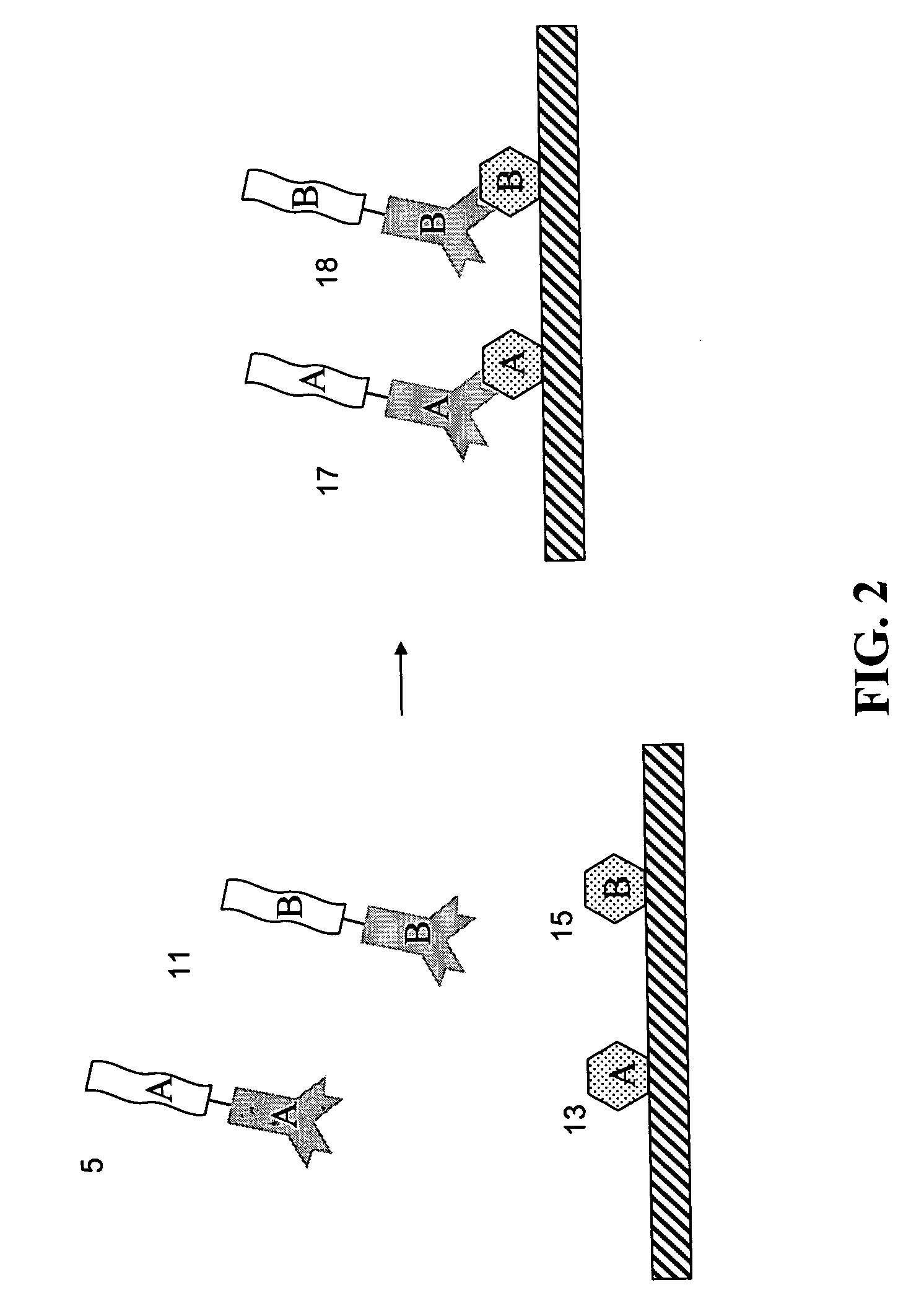 Methods for detecting proteins