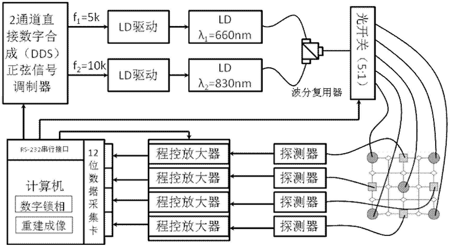 Optical topology imaging system and method on basis of digital phase locking detection technology