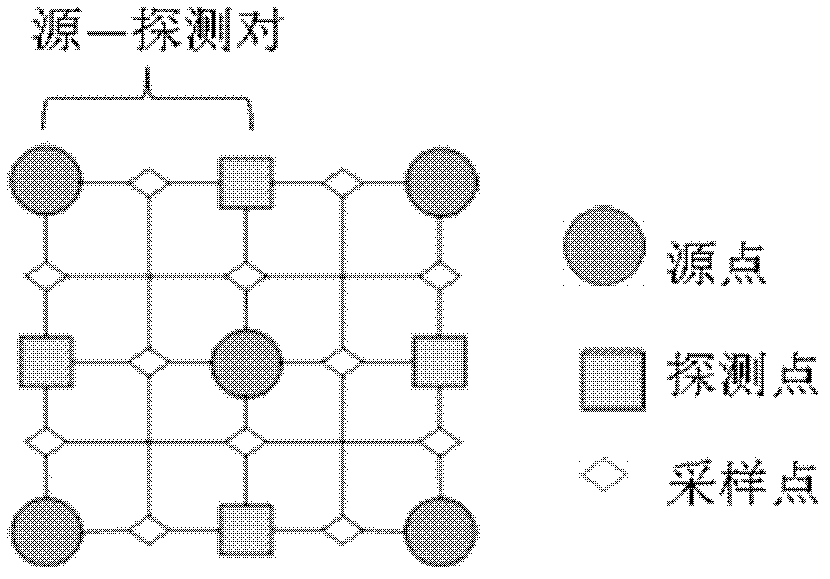 Optical topology imaging system and method on basis of digital phase locking detection technology