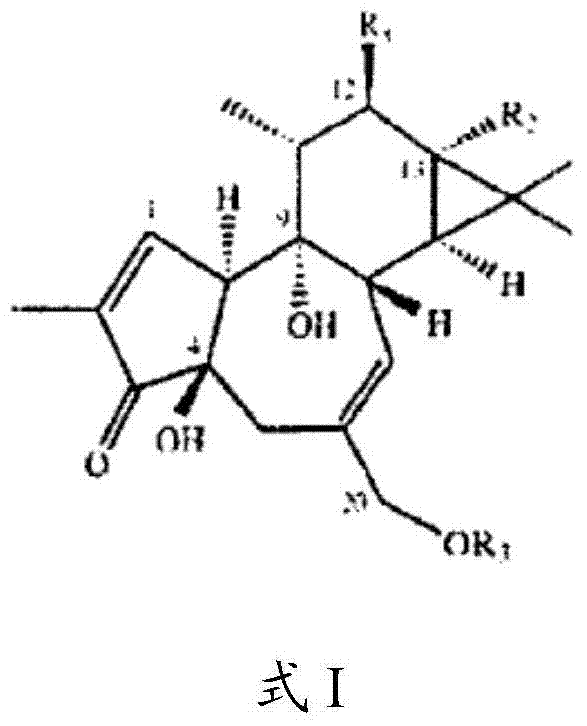 Compositions and methods of use of phorbol esters