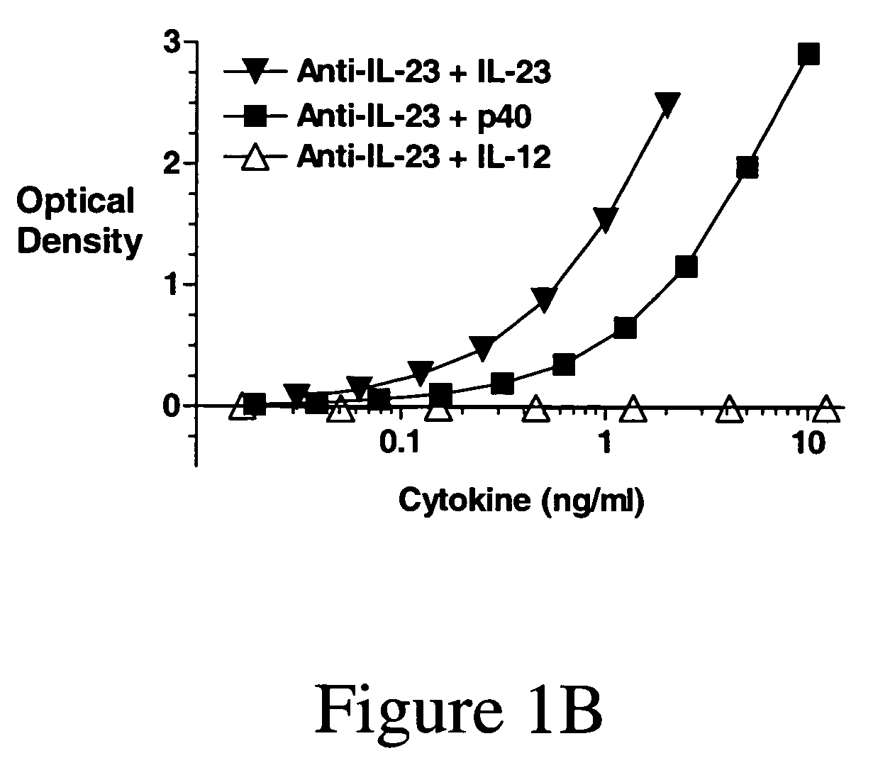 IL-23p40 specific antibody