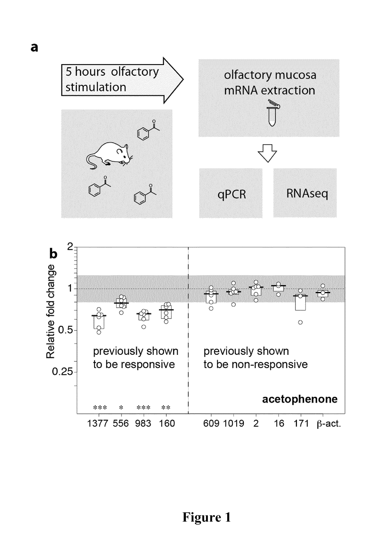 Methods for identifying a receptor for a ligand and uses thereof