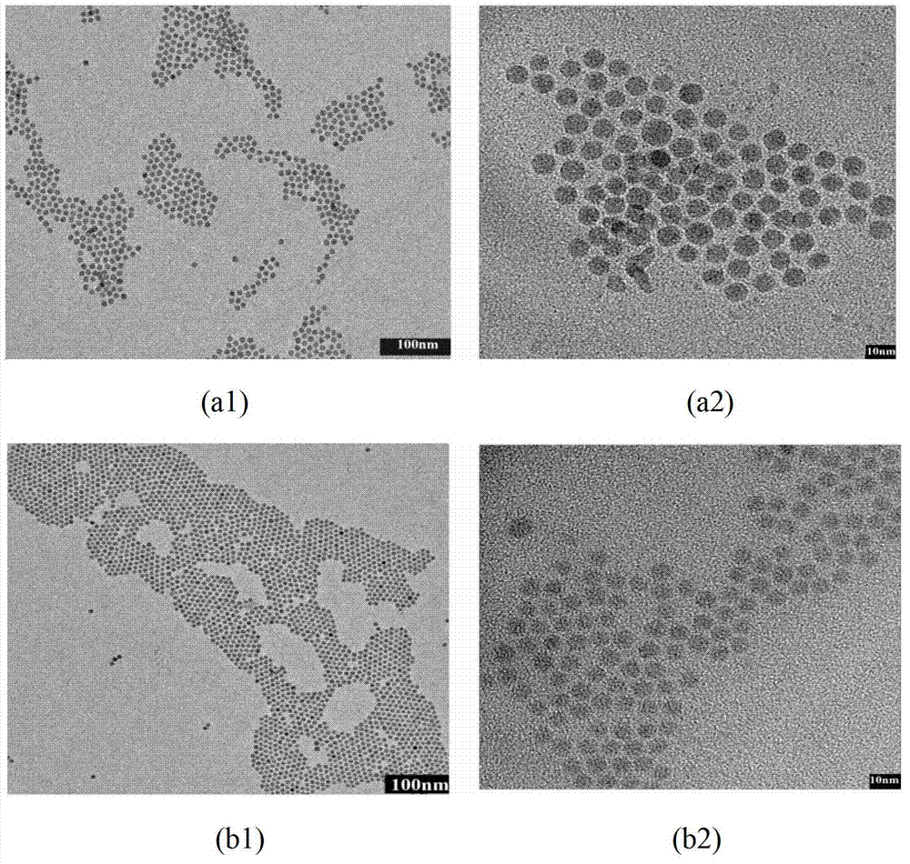 P-type CuxSy semiconductor nanocrystalline, preparation method and application thereof