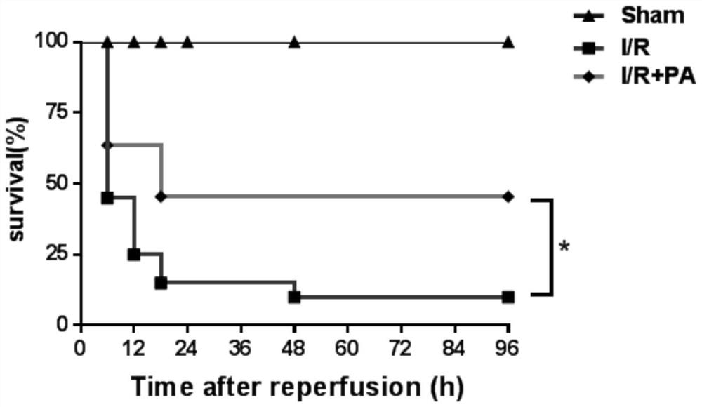 New use of pravastatin