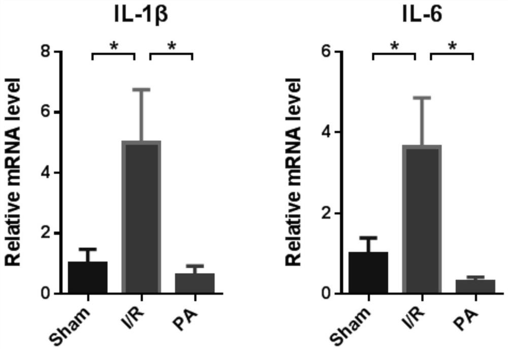 New use of pravastatin