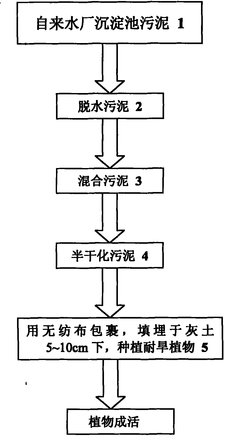 Integral treatment utilization method for sludge produced from water works