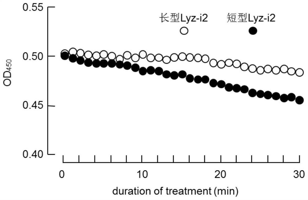 SNP markers for distinguishing resistance to Vibrio harveyi infection of Litopenaeus vannamei and its detection method and application