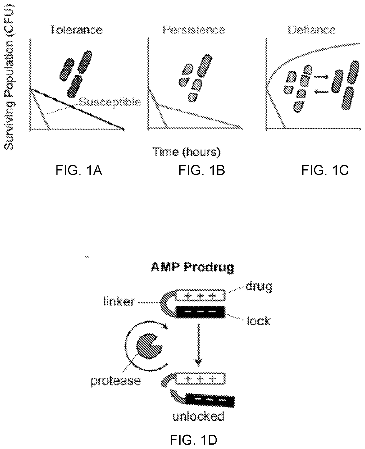 Self-titrating bacterial protease-activated prodrug