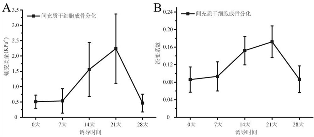 Culture medium capable of improving osteogenic differentiation efficiency of human mesenchymal stem cells and culture method