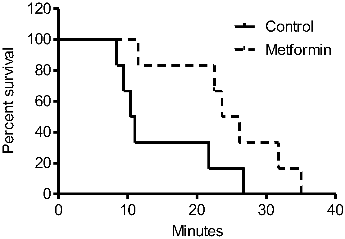 Application of Metformin in Improving Altitude Hypoxia and Hypoxia