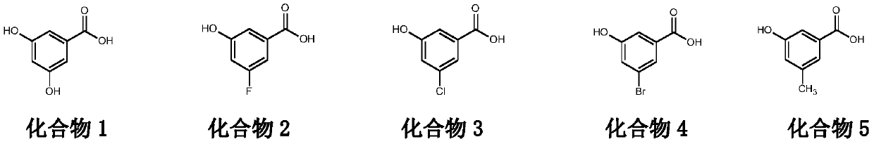 Application of 3-hydroxyl-5substituent benzoic acid in preparing cosmetic composition or non-therapeutic skin treatment composition