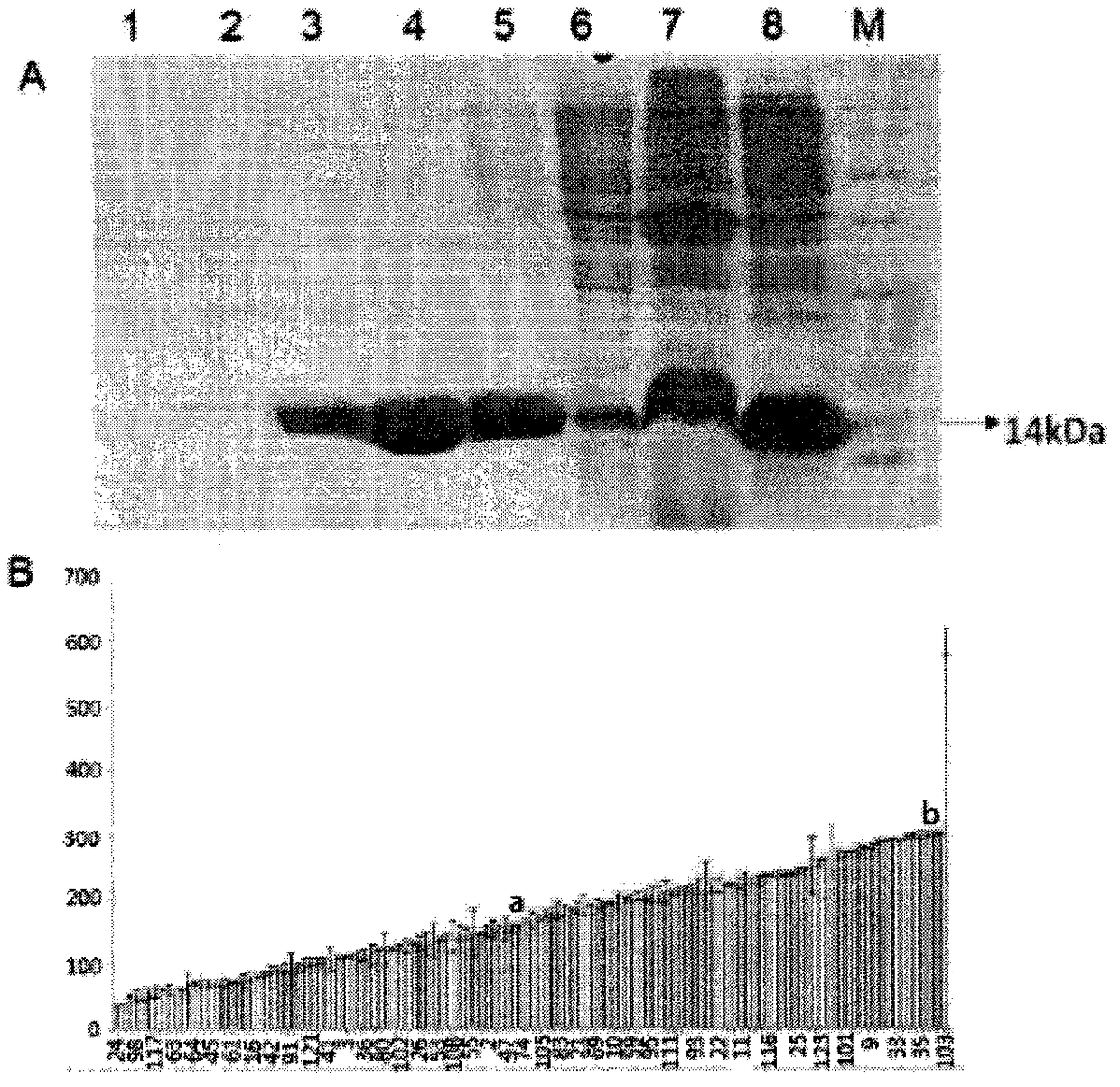 Lead compounds, screening methods and applications targeting human fkbp51 protein