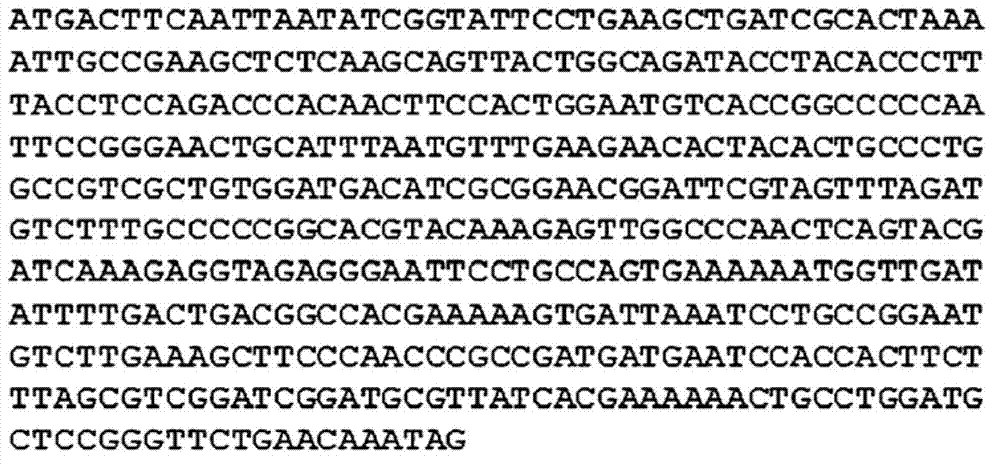 Salt tolerance SyDBSP gene derived from synechocystis, and uses thereof