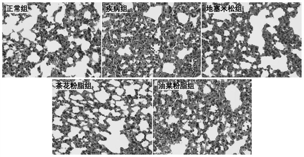 Bee pollen lipid extract, and extraction method and application thereof