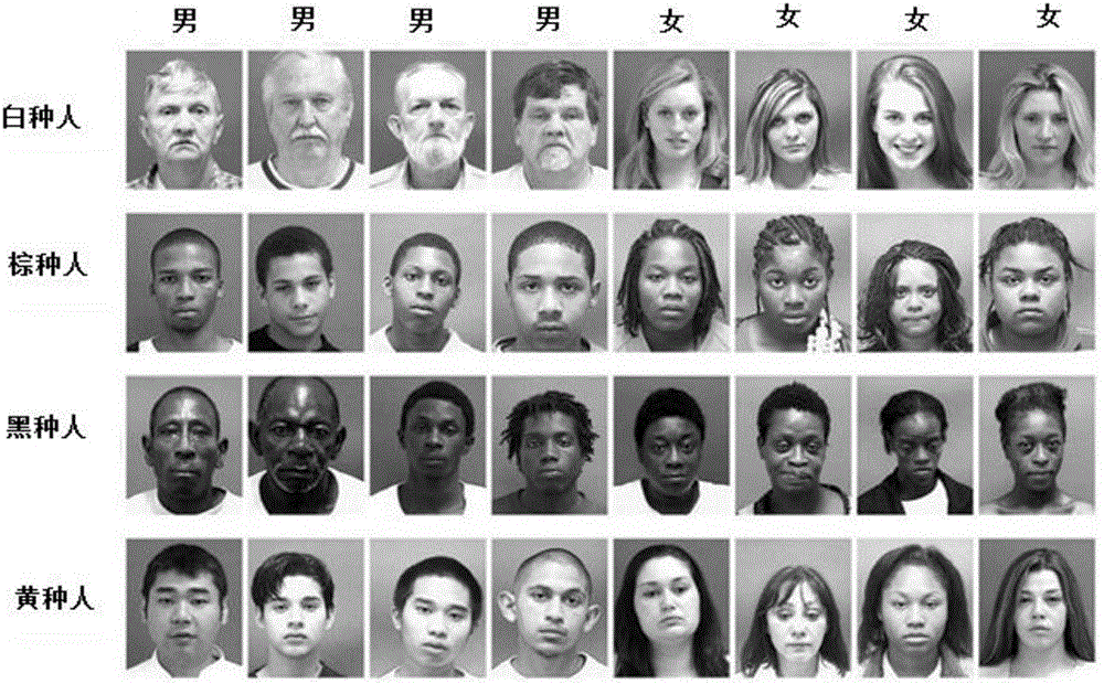 Multi-task learning based method for recognizing race and gender through human face image