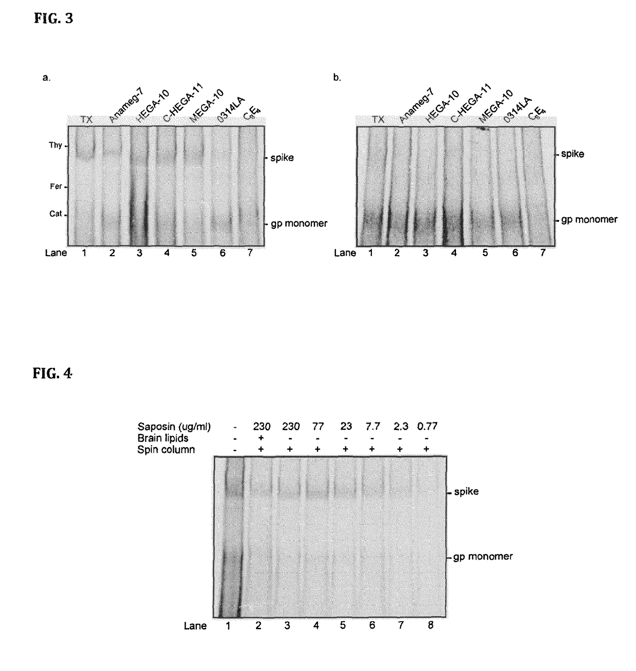 Antigen and method for production thereof