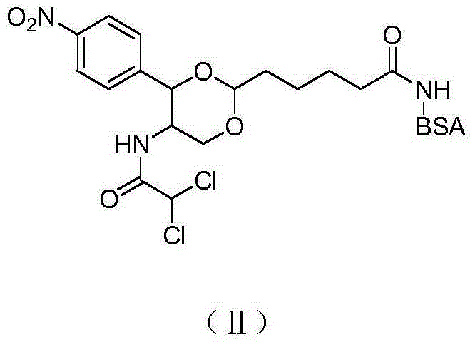 Preparation of immune antigen and coating antigen for detection of chloramphenicol