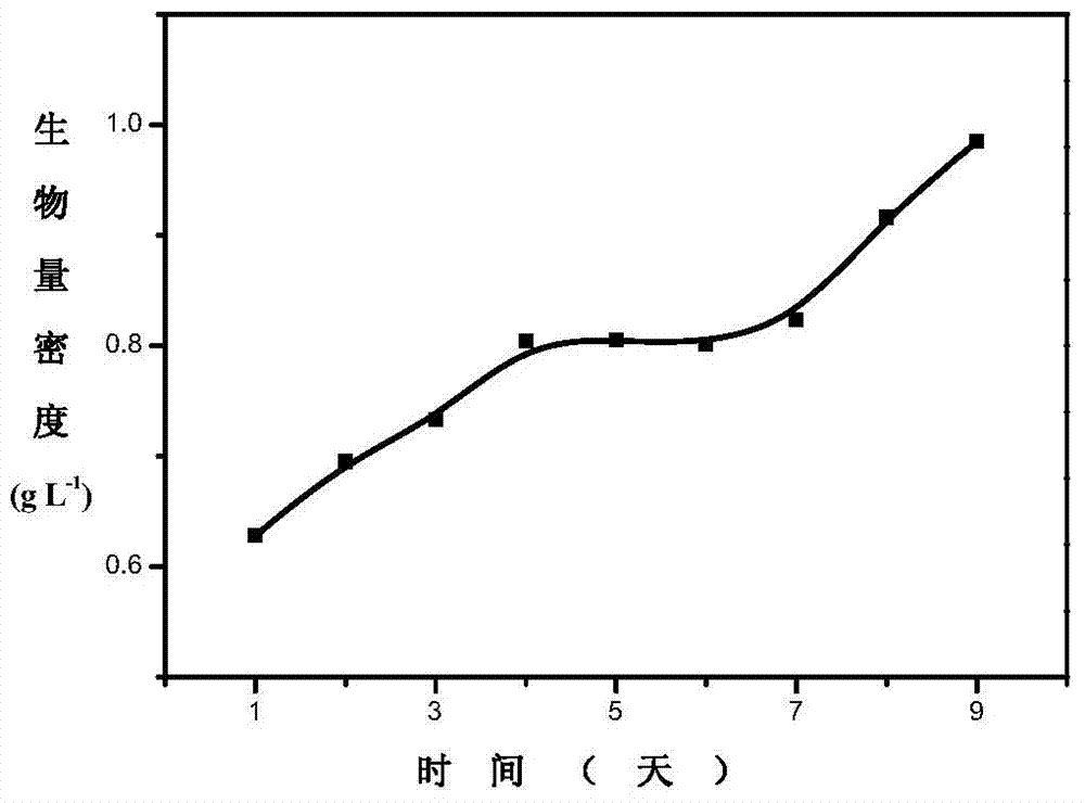 Method for rapidly accumulating microalgae grease through pH regulation and control