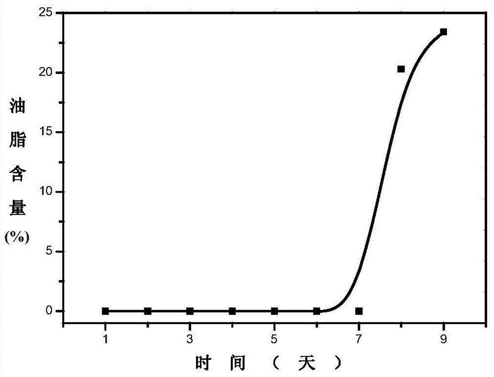 Method for rapidly accumulating microalgae grease through pH regulation and control