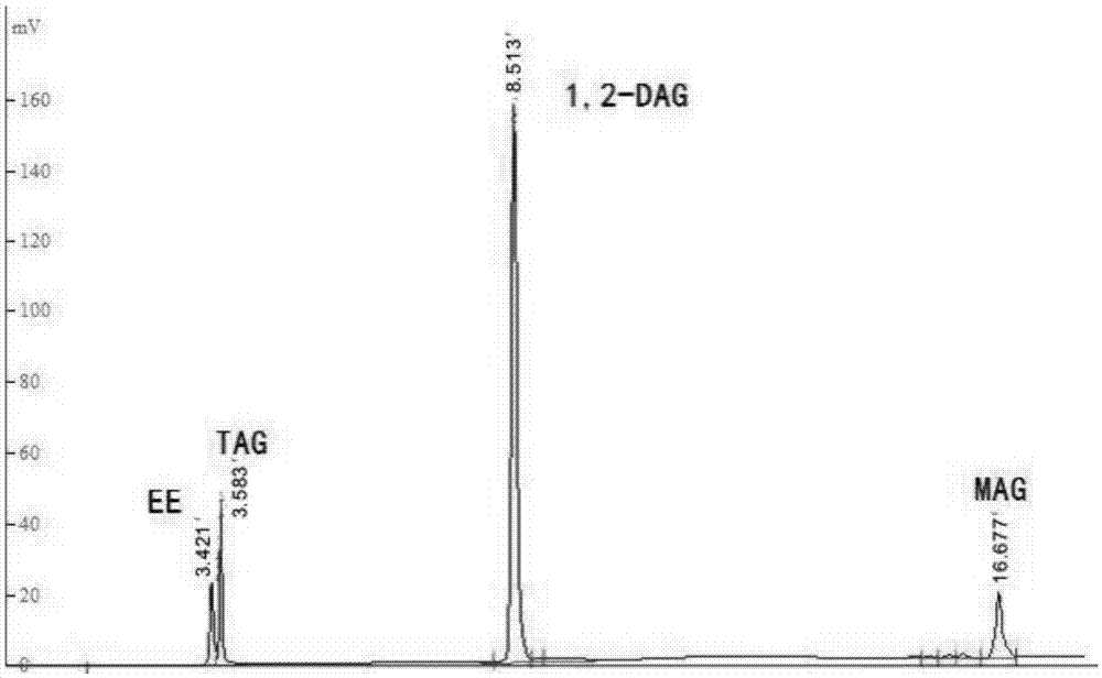 Method for synthesizing 1,2-diglyceride with an enzymic method