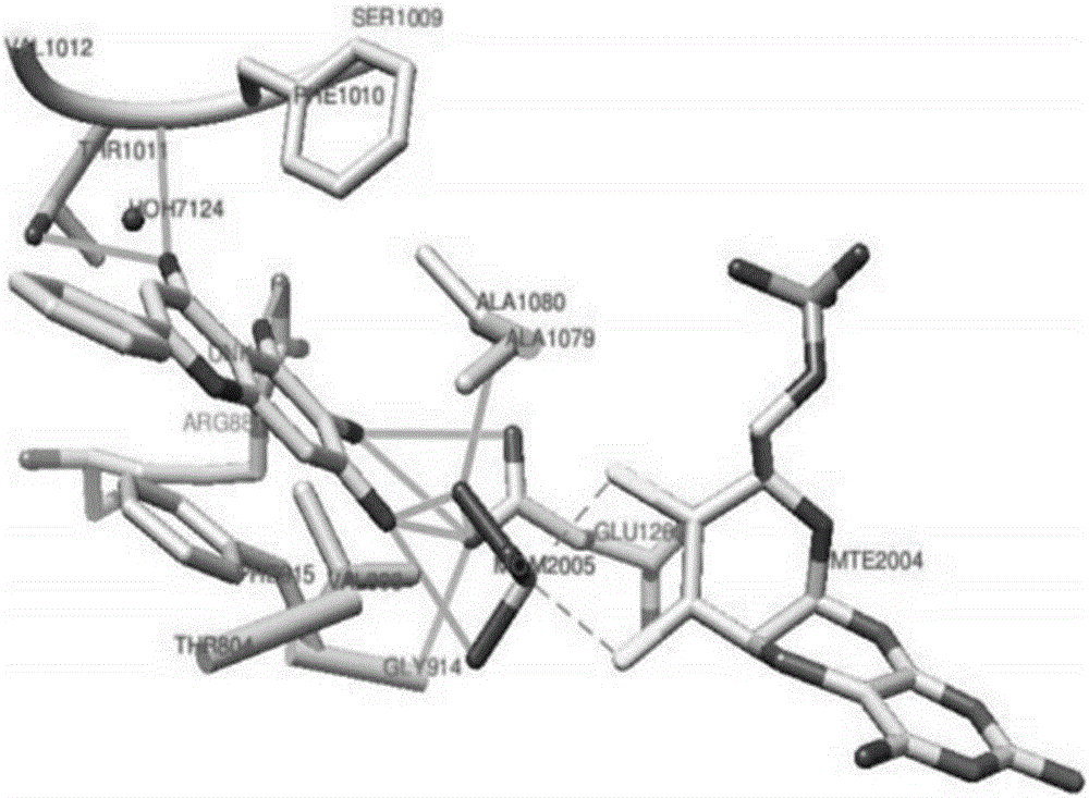 Application of baicalein and derivative 6,7-diacetyl radix scutellariae thereof