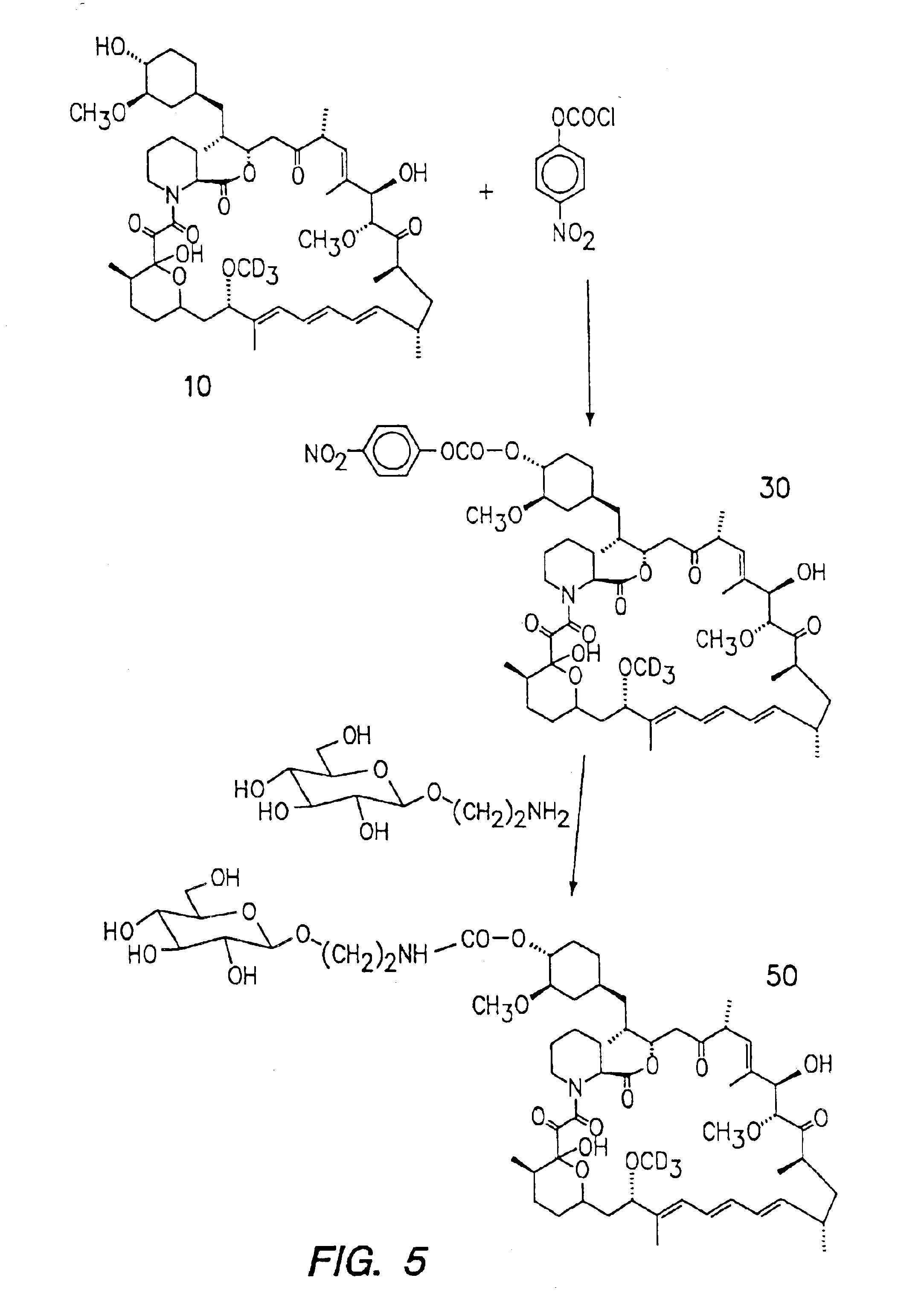 Deuterated rapamycin compounds, method and uses thereof
