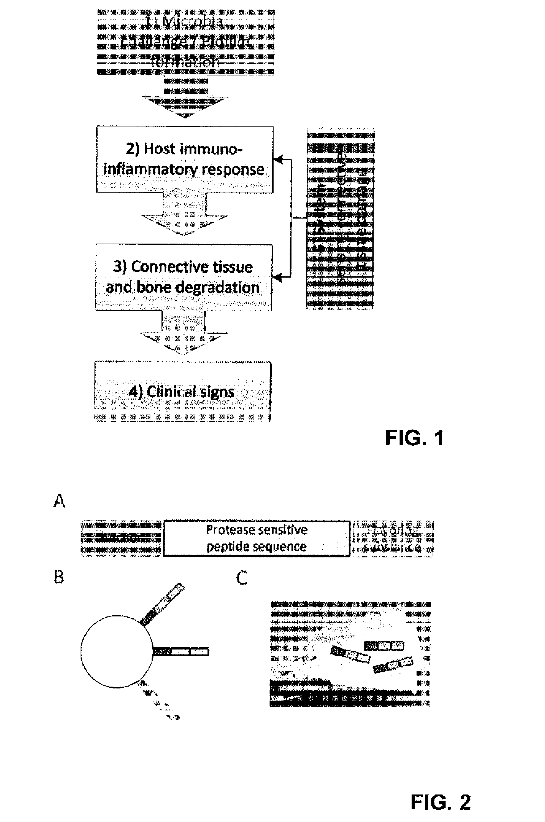 Device for the diagnosis of inflammatory tissues in dental applications